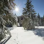 Winklmoosalm Гостевой дом 4*
