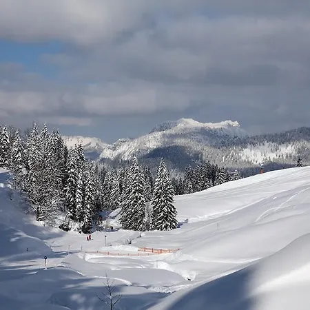 Winklmoosalm Gasthof Reit im Winkl
