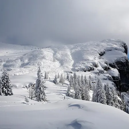 Winklmoosalm Gasthof