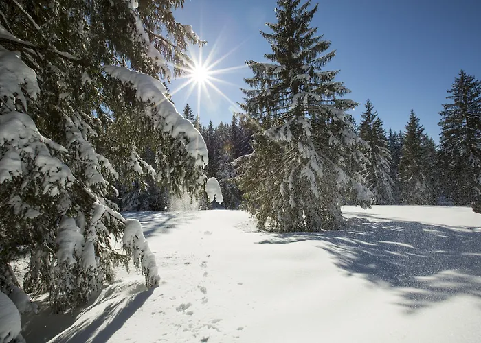 Winklmoosalm Gæstehus 4*