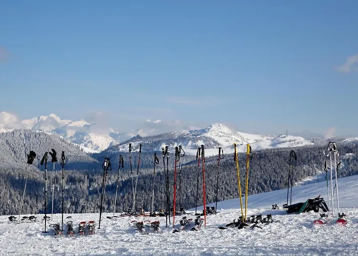 Winklmoosalm 4* Reit im Winkl